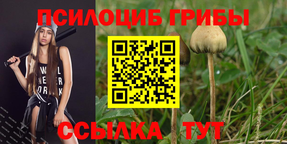 Псилоцибиновые грибы Magic Shrooms  Вход с VPN  Камышлов 