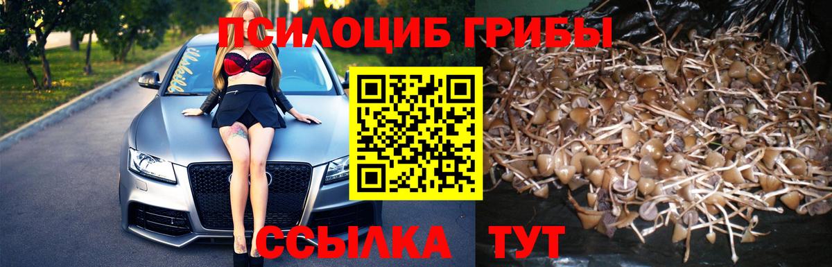 Галлюциногенные грибы GOLDEN TEACHER Камышлов